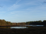 FZ024865 Pluismeer in Pijnenburg.jpg